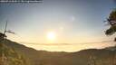 ./images/calvert/fitz-hugh-hecate/20260716/fitz-hugh-hecate20260716_063501M.jpg