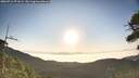 ./images/calvert/fitz-hugh-hecate/20260716/fitz-hugh-hecate20260716_071002M.jpg