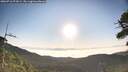 ./images/calvert/fitz-hugh-hecate/20260716/fitz-hugh-hecate20260716_073001M.jpg