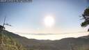 ./images/calvert/fitz-hugh-hecate/20260716/fitz-hugh-hecate20260716_073501M.jpg