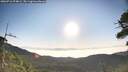 ./images/calvert/fitz-hugh-hecate/20260716/fitz-hugh-hecate20260716_074001M.jpg