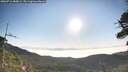 ./images/calvert/fitz-hugh-hecate/20260716/fitz-hugh-hecate20260716_080001M.jpg