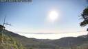 ./images/calvert/fitz-hugh-hecate/20260716/fitz-hugh-hecate20260716_081001M.jpg