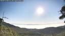 ./images/calvert/fitz-hugh-hecate/20260716/fitz-hugh-hecate20260716_081501M.jpg