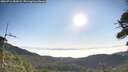 ./images/calvert/fitz-hugh-hecate/20260716/fitz-hugh-hecate20260716_082002M.jpg