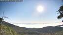 ./images/calvert/fitz-hugh-hecate/20260716/fitz-hugh-hecate20260716_083001M.jpg