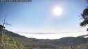 ./images/calvert/fitz-hugh-hecate/20260716/fitz-hugh-hecate20260716_084001M.jpg