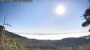 ./images/calvert/fitz-hugh-hecate/20260716/fitz-hugh-hecate20260716_085002M.jpg