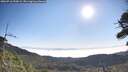 ./images/calvert/fitz-hugh-hecate/20260716/fitz-hugh-hecate20260716_090002M.jpg