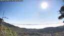./images/calvert/fitz-hugh-hecate/20260716/fitz-hugh-hecate20260716_090501M.jpg