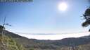 ./images/calvert/fitz-hugh-hecate/20260716/fitz-hugh-hecate20260716_091001M.jpg