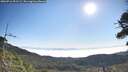 ./images/calvert/fitz-hugh-hecate/20260716/fitz-hugh-hecate20260716_091502M.jpg