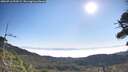 ./images/calvert/fitz-hugh-hecate/20260716/fitz-hugh-hecate20260716_092002M.jpg
