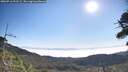 ./images/calvert/fitz-hugh-hecate/20260716/fitz-hugh-hecate20260716_092501M.jpg
