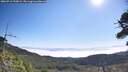 ./images/calvert/fitz-hugh-hecate/20260716/fitz-hugh-hecate20260716_100001M.jpg