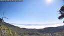 ./images/calvert/fitz-hugh-hecate/20260716/fitz-hugh-hecate20260716_101002M.jpg
