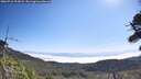 ./images/calvert/fitz-hugh-hecate/20260716/fitz-hugh-hecate20260716_103002M.jpg
