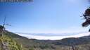./images/calvert/fitz-hugh-hecate/20260716/fitz-hugh-hecate20260716_103501M.jpg