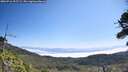 ./images/calvert/fitz-hugh-hecate/20260716/fitz-hugh-hecate20260716_105502M.jpg