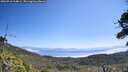 ./images/calvert/fitz-hugh-hecate/20260716/fitz-hugh-hecate20260716_114001M.jpg