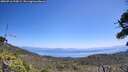 ./images/calvert/fitz-hugh-hecate/20260716/fitz-hugh-hecate20260716_124502M.jpg