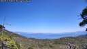 ./images/calvert/fitz-hugh-hecate/20260716/fitz-hugh-hecate20260716_135002M.jpg