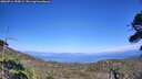 ./images/calvert/fitz-hugh-hecate/20260716/fitz-hugh-hecate20260716_155002M.jpg