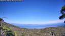 ./images/calvert/fitz-hugh-hecate/20260716/fitz-hugh-hecate20260716_170001M.jpg