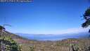 ./images/calvert/fitz-hugh-hecate/20260716/fitz-hugh-hecate20260716_174502M.jpg