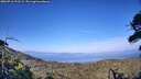 ./images/calvert/fitz-hugh-hecate/20260716/fitz-hugh-hecate20260716_191502M.jpg