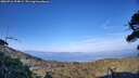 ./images/calvert/fitz-hugh-hecate/20260716/fitz-hugh-hecate20260716_194001M.jpg
