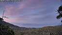 ./images/calvert/fitz-hugh-hecate/20260716/fitz-hugh-hecate20260716_220501M.jpg