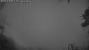 ./images/calvert/fitz-hugh-hecate/20260717/fitz-hugh-hecate20260717_045001M.jpg