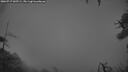 ./images/calvert/fitz-hugh-hecate/20260717/fitz-hugh-hecate20260717_045501M.jpg