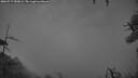 ./images/calvert/fitz-hugh-hecate/20260717/fitz-hugh-hecate20260717_050002M.jpg
