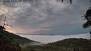 ./images/calvert/fitz-hugh-hecate/20260717/fitz-hugh-hecate20260717_051501M.jpg