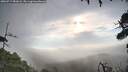 ./images/calvert/fitz-hugh-hecate/20260717/fitz-hugh-hecate20260717_081002M.jpg