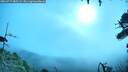 ./images/calvert/fitz-hugh-hecate/20260717/fitz-hugh-hecate20260717_085502M.jpg