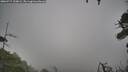 ./images/calvert/fitz-hugh-hecate/20260717/fitz-hugh-hecate20260717_100001M.jpg