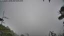 ./images/calvert/fitz-hugh-hecate/20260717/fitz-hugh-hecate20260717_100501M.jpg