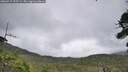 ./images/calvert/fitz-hugh-hecate/20260717/fitz-hugh-hecate20260717_155502M.jpg