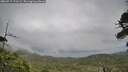 ./images/calvert/fitz-hugh-hecate/20260717/fitz-hugh-hecate20260717_171501M.jpg