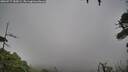 ./images/calvert/fitz-hugh-hecate/20260717/fitz-hugh-hecate20260717_185002M.jpg