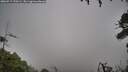./images/calvert/fitz-hugh-hecate/20260717/fitz-hugh-hecate20260717_190501M.jpg