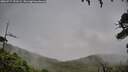 ./images/calvert/fitz-hugh-hecate/20260717/fitz-hugh-hecate20260717_191502M.jpg