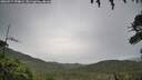 ./images/calvert/fitz-hugh-hecate/20260717/fitz-hugh-hecate20260717_194001M.jpg