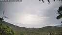 ./images/calvert/fitz-hugh-hecate/20260717/fitz-hugh-hecate20260717_194501M.jpg