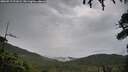 ./images/calvert/fitz-hugh-hecate/20260717/fitz-hugh-hecate20260717_211002M.jpg