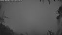 ./images/calvert/fitz-hugh-hecate/20260718/fitz-hugh-hecate20260718_045501M.jpg
