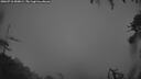 ./images/calvert/fitz-hugh-hecate/20260718/fitz-hugh-hecate20260718_050001M.jpg